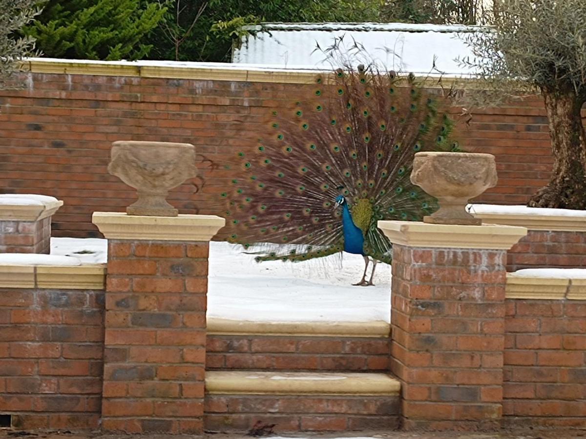 The West Wing At Eriviat Hall Hot Tub Henllan  Exteriör bild